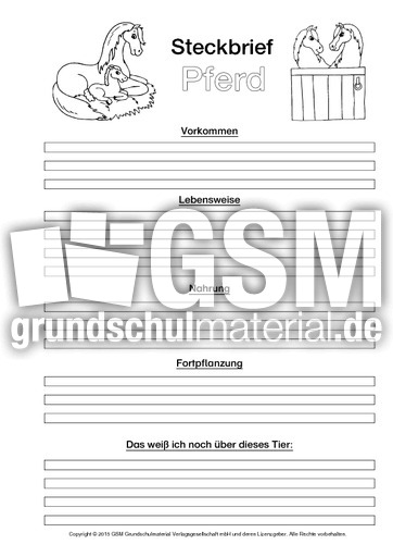 Pferd-Steckbriefvorlage-sw-2.pdf